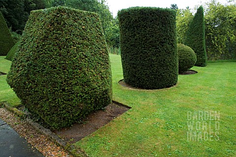 ROW_OF_SHAPES_BASED_ON_EUCLIDEAN_GEOMETRY__IN_YEW_TAXUS_BACCATA_TOPIARY_GARDEN
