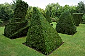 LEANING PYRAMID & TATLINS TOWER (ORIGINAL DESIGNED BY VLADIMIR TATLIN)  IN YEW (TAXUS BACCATA)
