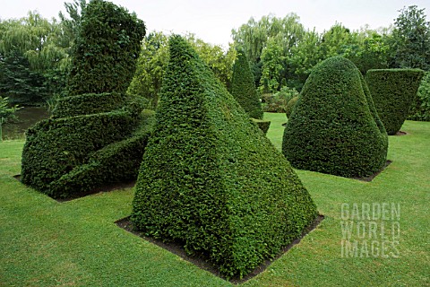 LEANING_PYRAMID__TATLINS_TOWER_ORIGINAL_DESIGNED_BY_VLADIMIR_TATLIN__IN_YEW_TAXUS_BACCATA