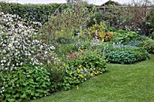 COTTAGE BORDERS IN LAWN. FGRD: MALUS X SCHEIDECKERI RED JADE WITH CALTHA PALUSTRIS,  LUZULA NIVEA,  GERANIUM PHAEUM SAMOBOR,  LUNARIA ANNUA,  LUNARIA ANNUA VARIEGATA