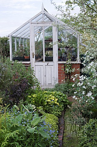 WOOD_AND_BRICK_GREENHOUSE_WITH_HERB_BORDER_IN_FRONT_INC_OREGANUM__MELISSA_OFFICINALIS_AUREA__GOLDEN_