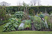 KITCHEN GARDEN WITH CLOCHE  & HAZEL WIGWAMS. RHUBARB,  CYNARA (CARDOON),  LETTUCES,  CHARD,  BROAD BEANS,  PEAS,  ONIONS