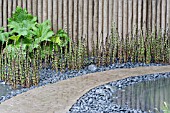 EQUISETUM HYEMALE,  GUNNERA MANICATA IN POOL AGAINST WALL. WALKING BAREFOOT WITH BRADSTONE,  DES. SARAH EBERLE. CHELSEA 2006