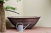 WATER VAT & WATERING CAN NEXT TO POLLARDED FIELD MAPLE. SAGA INSURANCE GARDEN,  DES. CLEVE WEST