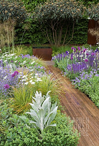 TELEGRAPH_GARDEN__DESIGNER_TOM_STUART_SMITH_PATHWAY_TO_RUSTED_STEEL_WATER_TANK_VIBURNUM_RHYTIDOPHYLL