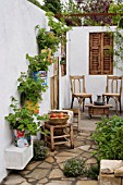 OLIVE CANS ON WHITEWASHED WALL WITH PELARGONIUMS. WOODEN TABLE & CHAIRS . LEBANESE COURTYARD,  DES. NADA HABET. CHELSEA 2006