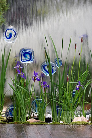 IRIS_SIBIRICA_AGAINST_DECORATED_WATER_WALL_AO_ARASHI_BLUE_STORM__DES_KAZUYUKI_ISHIHARA_CHELSEA_2006