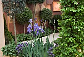 SUNDAY MIRROR DA VINCI GARDEN,  DES. DAVID DOMONEY. IRIS JANE PHILLIPS,  LAVANDULA STOECHAS,  SALVIA OFFICINALIS (SAGE). CHELSEA 2006