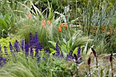 SALVIA X SYLVESTRIS MAINACHT,  STIPA TENUISSIMA,  TULIPA BALLERINA & IRIS SUPERSTITION. CANCER RESEARCH UK GARDEN,  DES. ANDY STURGEON