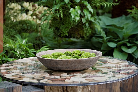 BOWL_OF_MOSSES_NATURAL_ELEMENTS___THE_GREEN_ROOM__DES_CASPAR_GABB