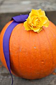 YELLOW ROSE ON PUMPKIN