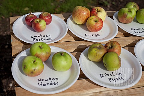 HARVESTED_APPLES