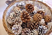 PINE CONES IN A BASKET