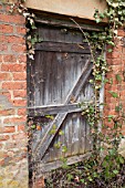 GARDEN GATE DOOR COVERED IN BRAMBLES