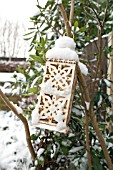 SNOW COVERED LANTERN ON LILAC