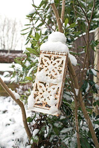 SNOW_COVERED_LANTERN_ON_LILAC