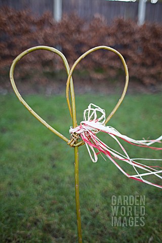 HEART_SHAPED_WILLOW_IN_THE_WIND