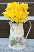 DAFFODILS IN VINTAGE JUG