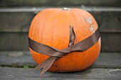 PUMPKIN TIED WITH BROWN RIBBON