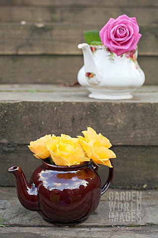 TEAPOTS_AND_ROSES