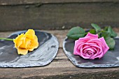 ROSES ON SLATE HEARTS