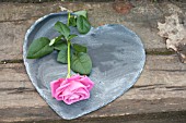 PINK ROSE ON HEART SHAPED SLATE