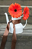 GERBERA IN TEAPOT