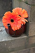 ORANGE GERBERA IN BROWN TEAPOT