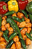 MIXED CAPSICUM, (MIXED PEPPERS)