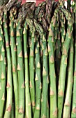 ASPARAGUS