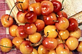 PRUNUS AVIUM,  CHERRIES RAINIER