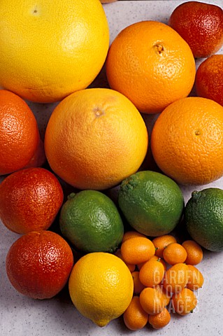 CITRUS_FRUIT_MIXED_ON_TABLE