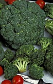 CUTTING BROCCOLI READY FOR COOKING