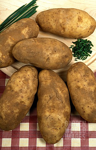 POTATO_FRONTIER_HARVESTED