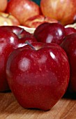 MALUS DOMESTICA RED DELICIOUS, (APPLE RED DELICIOUS)