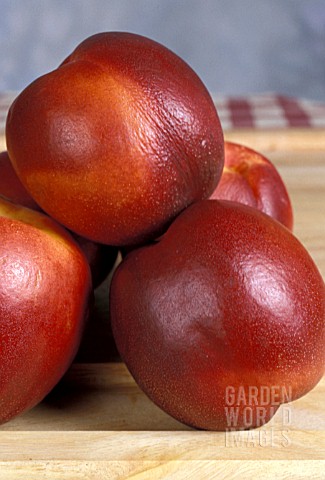 PRUNUS_PERSICA_VAR_NUCIPERSICA_NECTARINE