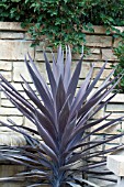 CORDYLINE BAUERI