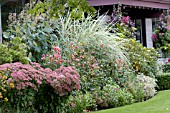 MIXED BORDER PLANTING