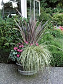 CONTAINER PLANTING PHORMIUM, CAREX, IMPATIENS, HEUCHERA