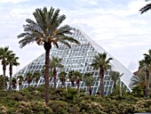 MOODY GARDENS PYRAMID GALVESTON TEXAS USA