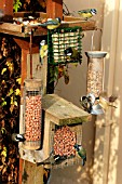 BLUETITS ON BIRD FEEDERS