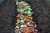 TRENCH COMPOSTING KITCHEN WASTE