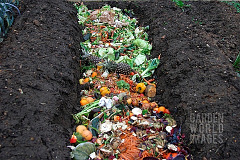 TRENCH_COMPOSTING_KITCHEN_WASTE