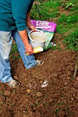 APPLY LIME USING A SMALL SCOOP AVOIDING PLANT