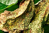 BEAN RUST