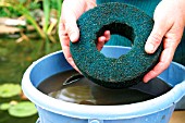FILTER OVERHAUL,  STEP SEVEN,  RINSE FILTER IN CLEAN POND WATER