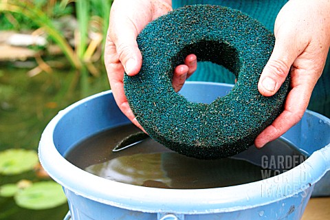 FILTER_OVERHAUL__STEP_SEVEN__RINSE_FILTER_IN_CLEAN_POND_WATER