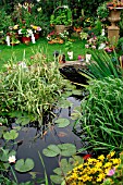 POND IN SMALL GARDEN