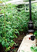 HEATER IN GREENHOUSE