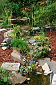 NEWLY BUILT STREAM IN GARDEN